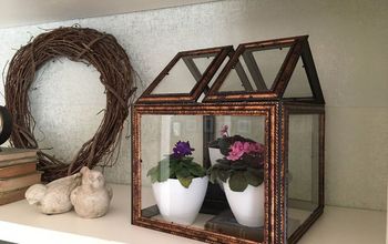 Dollar Store Picture Frame Terrarium