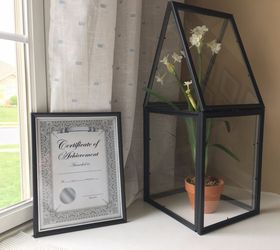 DIY picture frame terrarium