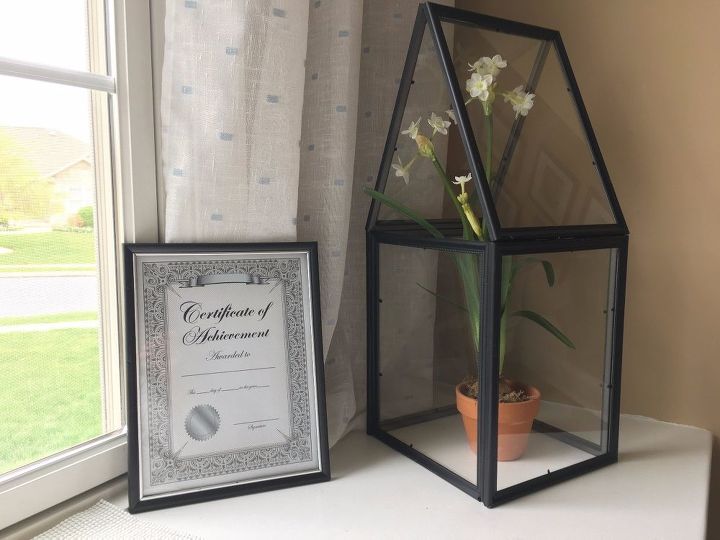 DIY picture frame terrarium