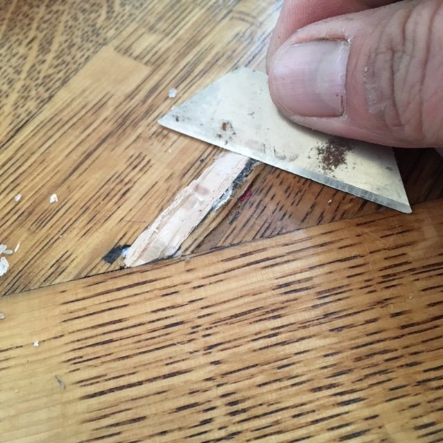 repair termite hole in hardwood floor