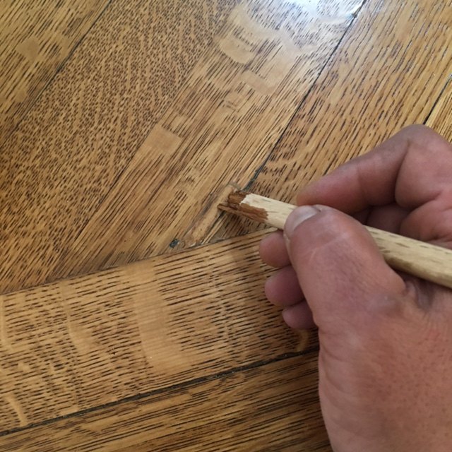 Repair Termite Hole In Hardwood Floor Hometalk