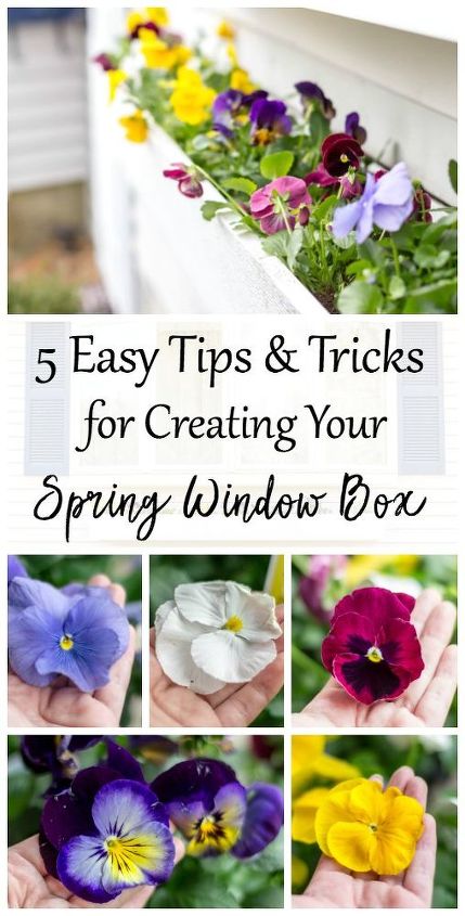 5 easy tips tricks for creating your spring window box, Click to pin for later