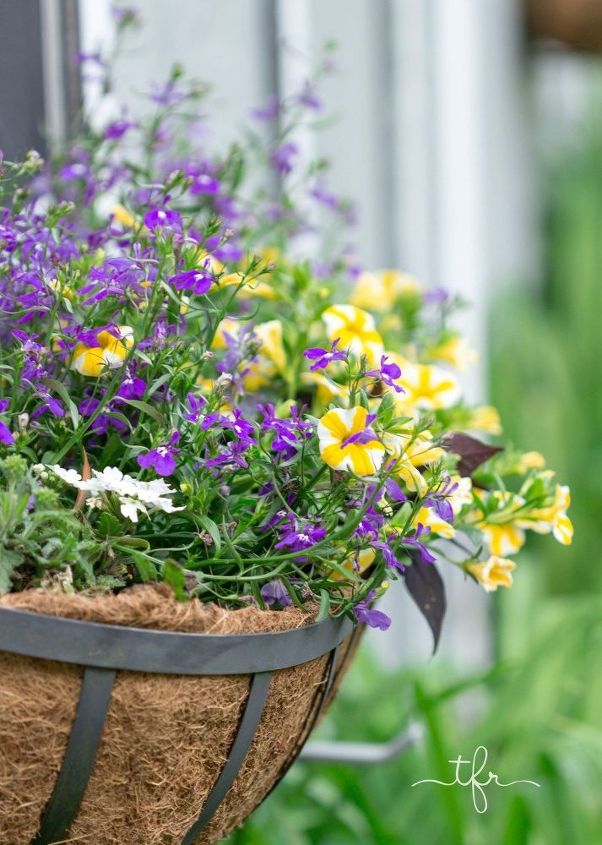 5 easy tips tricks for creating your spring window box, Late spring window box 2016