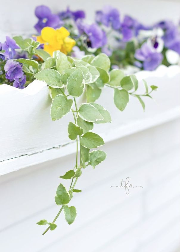 5 easy tips tricks for creating your spring window box, Spring window box 2015