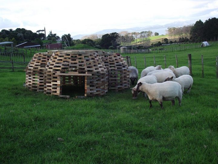 sheepive um abrigo de ovelhas no convencional