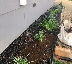 updating back and side yard