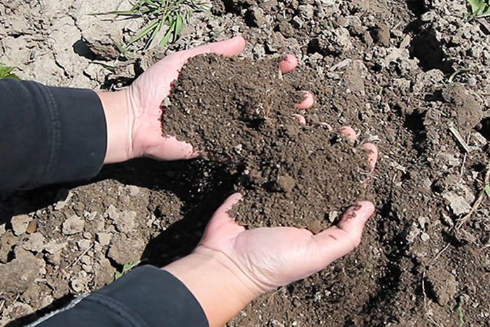 the secret to perfect easy to work with garden soil