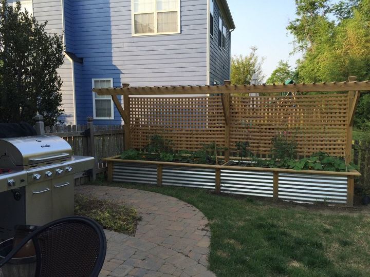 raised bed and trellis