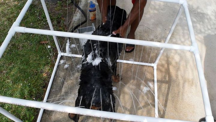 easy diy pvc outdoor dog shower