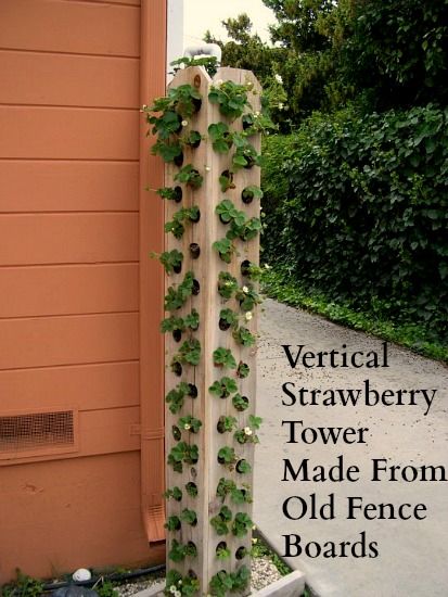 what is the best wood to use for a vertical strawberry tower