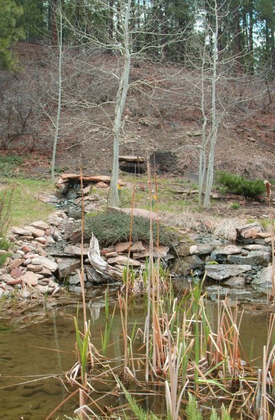 How To Build A Backyard Waterfall Up A Slope Hometalk