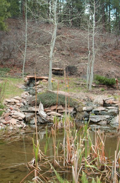 how to build a backyard waterfall up a slope, connects to older koi pond