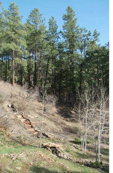 how to build a backyard waterfall up a slope, Side view curvy staircase foundation
