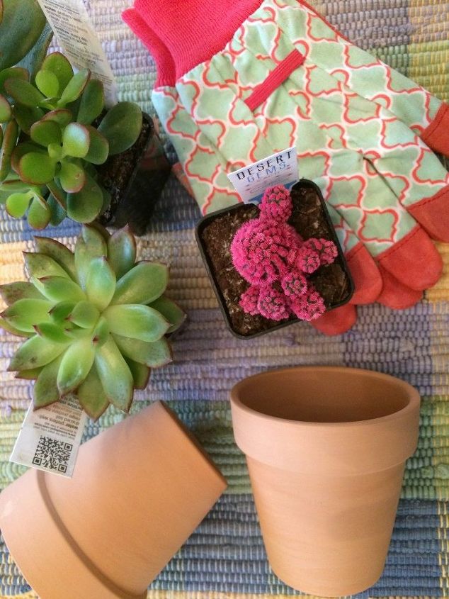 painted terra cotta pots for succulents