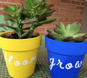 painted terra cotta pots for succulents