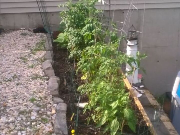 q how do i get more planting space