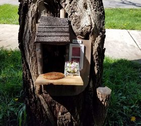 My fairy garden tree hollow deals