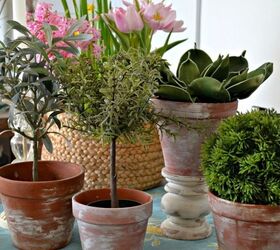 easily give new terra cotta pots an aged look