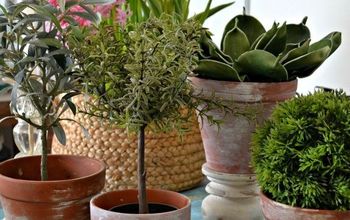 Easily Give New Terra Cotta Pots an Aged Look