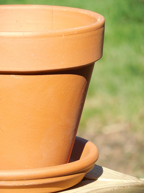 spruce up your old flower pots for free