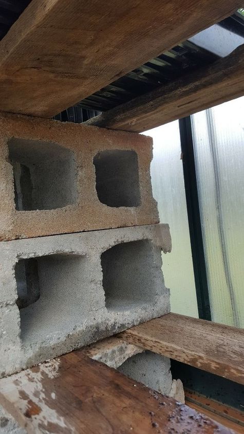Super Easy Diy Greenhouse Shelves Hometalk Super Easy Diy Greenhouse Shelves