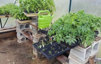 Super Easy DIY Greenhouse Shelves