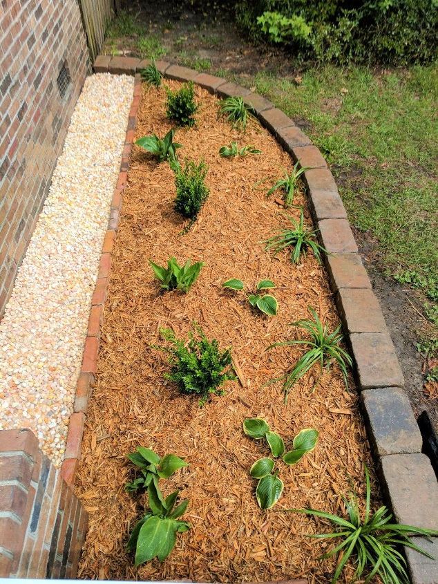 curb appeal planting project