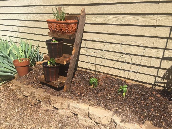 vertical herb garden ladder shelf from a wood pallet, Final Result