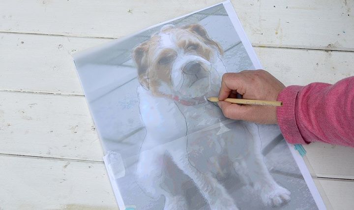 make some fabulous wall art with a diy map pet portrait