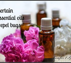 Tell Bugs To Bug Off: Natural Remedies To Repel Bugs