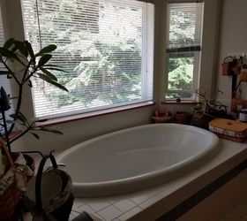 design for turning a tub in a bay window into a shower