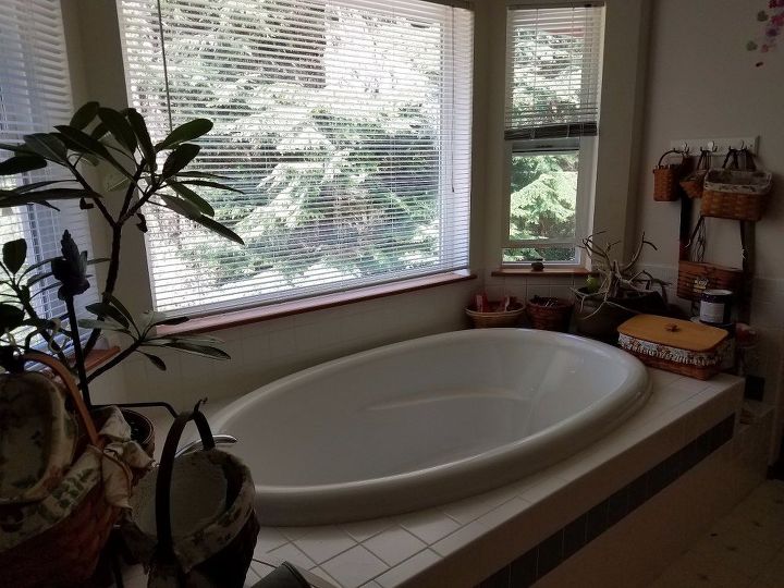 design for turning a tub in a bay window into a shower