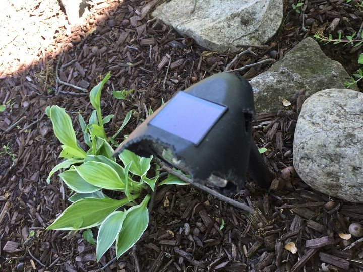 is there anyway to keep squirrels from chewing on plastic solar lights
