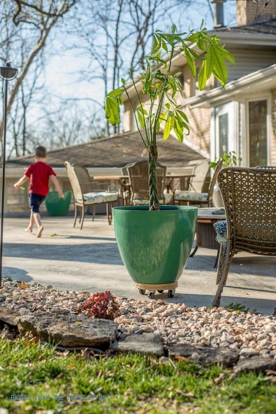 s gardeners copy these 20 stunning ways to display your plants, Attach Wheels To Plywood