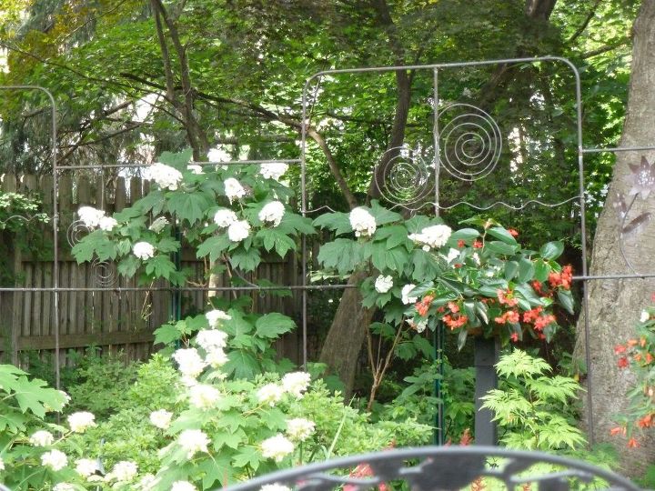 e garden fence trellis from copper pipe