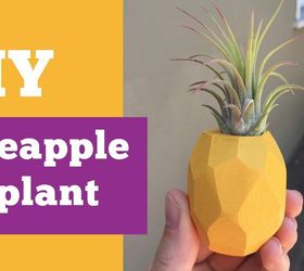 pineapple air plant fridge magnet