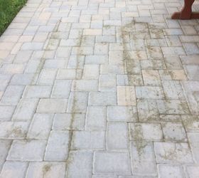 q how do i clean pavers stained by a hose trellis dirt laying on them