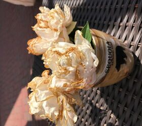 what can be wrong with peonies flower edges turning brown