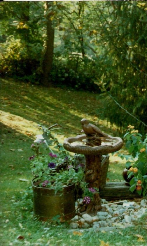 what time do birds get up in the morning what time do birds get up in the morning