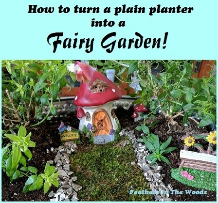como plantar um jardim de fadas