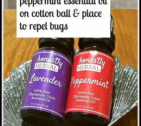 tell bugs to bug off natural remedies to repel bugs