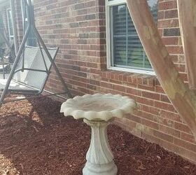 q i live in ok wanting to make my bird bath a planter suggestions ty