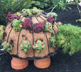 Timmy the Topiary Turtle
