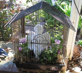 bird cages blooms and kisses