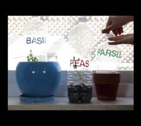s 15 useful ways to reuse your leftover plastic bottles, Make A Greenhouse For Plants
