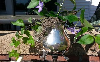 Bird Feeders and Planters of Silver & China