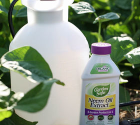 Cómo utilizar el aceite de neem en el jardín