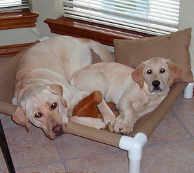 s 30 ideas every pet owner should know, Build A Cot For Puppies With PVC