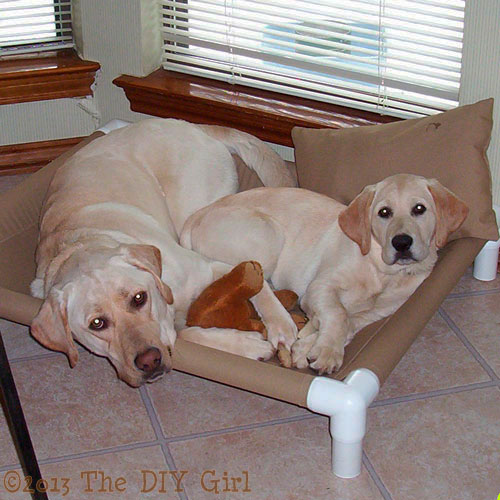 30 ideas que todo dueo de una mascota debe conocer, Construya una cuna para cachorros con PVC