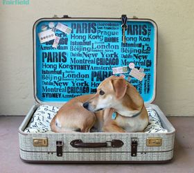 30 ideas que todo dueo de una mascota debe conocer, Reutiliza una maleta con plantillas para hacer una cama